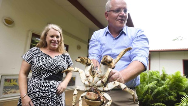 Scott Morrison yields a giant crab during his visit to Christmas Island.