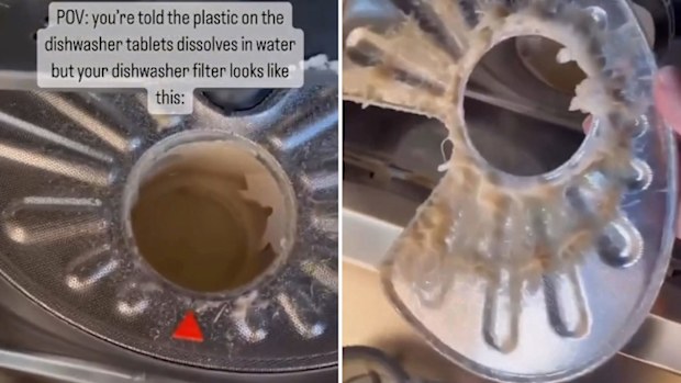 Dishwasher filter