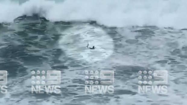 Kelly Slater snaps his board off large swell at Sydney's Avalon Beach. (Nine)