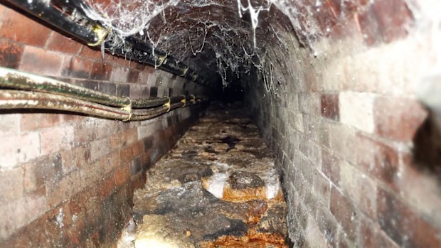 A fatberg covering an 1852-built sewer at Westminster in London.