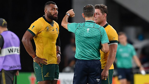 Wallabies