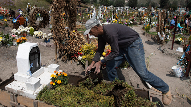 Cemetery worker Jorge Arvizu spreads a top dressing of green on the grave of Vicente Dominguez who died of complications related to the new coronavirus, at the municipal cemetery Valle de Chalco, on the outskirts of Mexico City, Tuesday, Oct. 20, 2020. 
