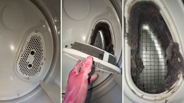Lint trap dryer filter never cleaned revealed shocking amount of lint inside