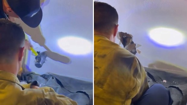 Dog Faye is rescued from inside the wall by firefighters