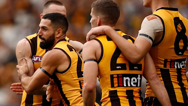 Hawthorn Hawks