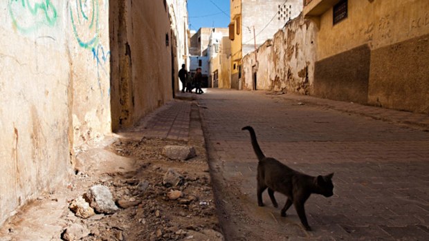 The man is believed to have been infected after being bitten by a cat.