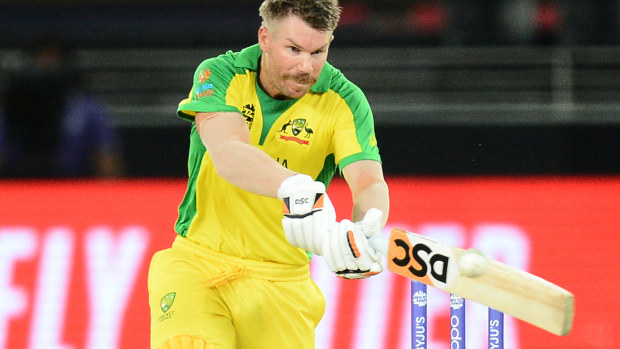 David Warner made 53 off 38 balls in the T20 World Cup final.