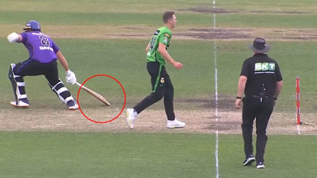 Tim David's costly error