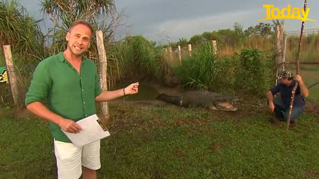 Today Tim Davies feeds crocodile live on air