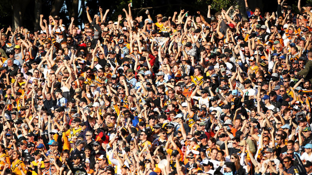 Fans pack into Leichhardt Oval to watch a pivotal final round clash between the Tigers and Sharks in 2019.