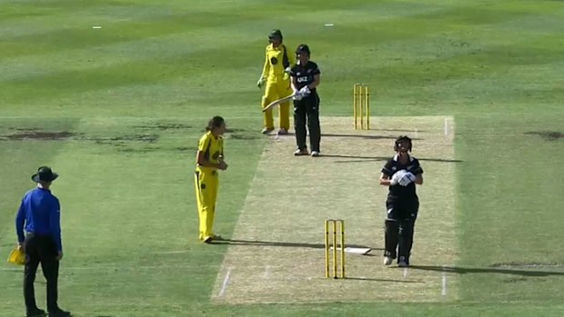 Governor General XI vs New Zealand