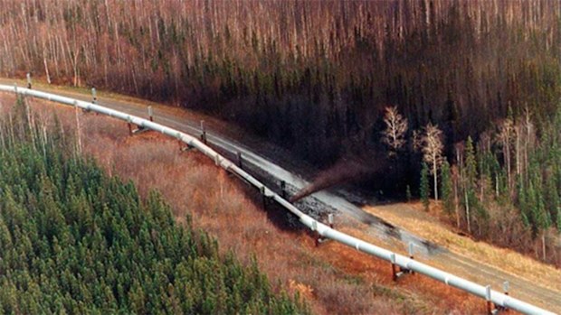 The leak coated nearby forest in crude oil.