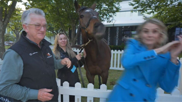 Christine Ahern Twilight Payment Melbourne Cup winner October 28, 2024.