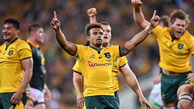 Wallabies