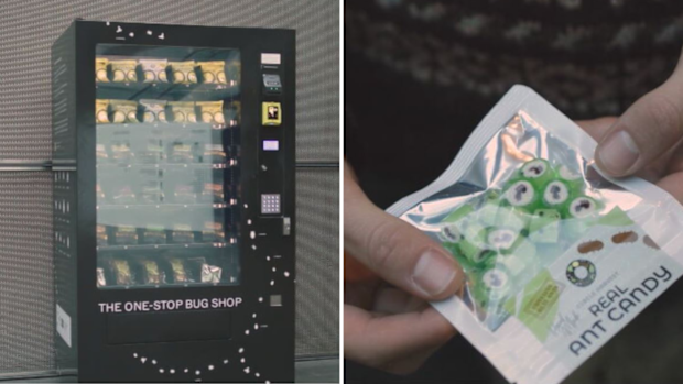 edible bug vending machine National Gallery of Victoria
