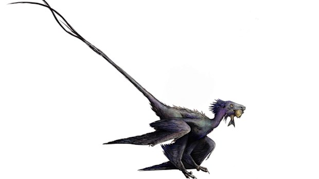 New feathered dinosaur species discovered.