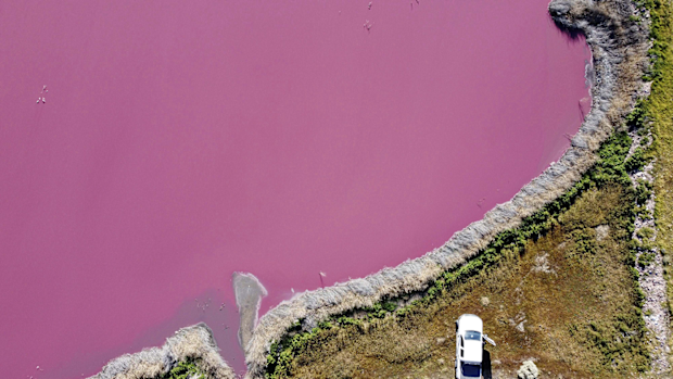 Aerial view of Corfo lagoon that has turned a striking shade of pink as a result of what local environmentalists are attributing to increased pollution from a nearby industrial park, in Trelew, Chubut province, Argentina, Thursday July 29, 2021.