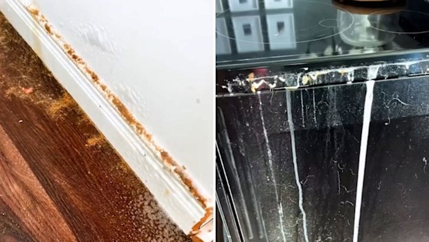 Cleaning tips, TikTok