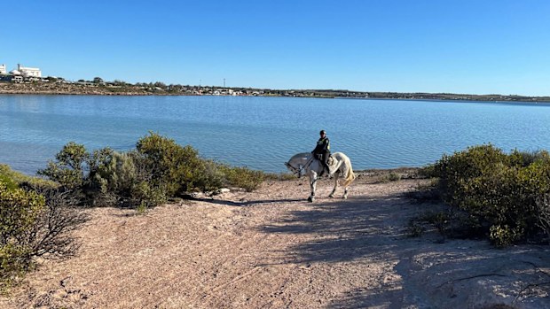 Police search for missing Queensland woman Julie in South Australia