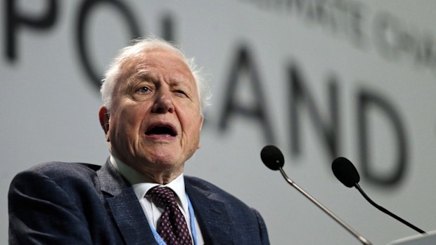 Sir David Attenborough has told a U.N. gathering that the "collapse of our civilizations and the extinction of much of the natural world is on the horizons" .