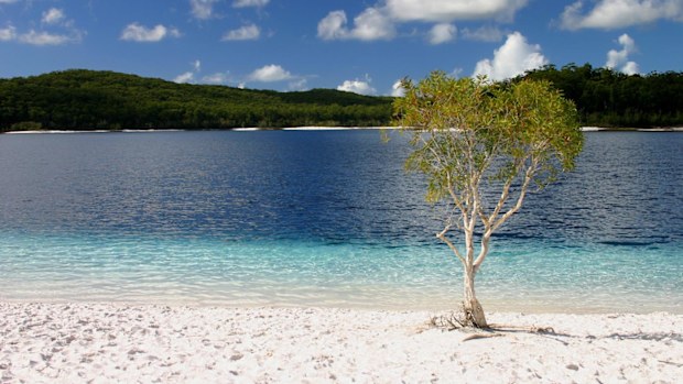 Lake Mckenzie is famous for its ombre shoreline.