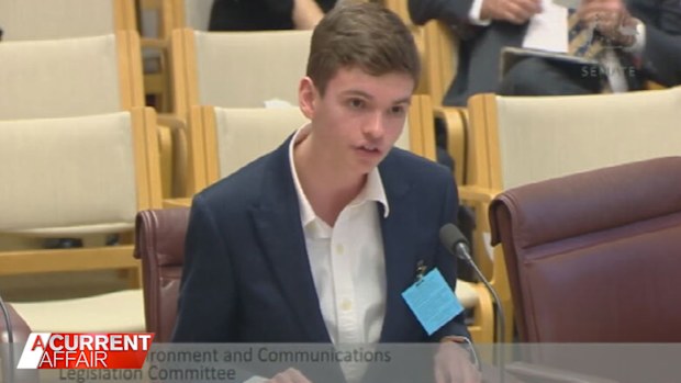 William Shackel spoke in front of a Senate committee.