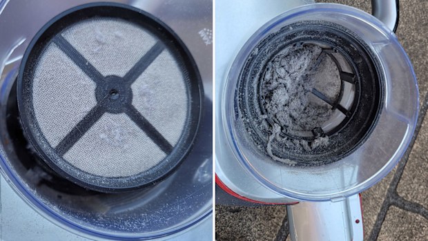 Inside a vacuum that hasn't been cleaned for a year