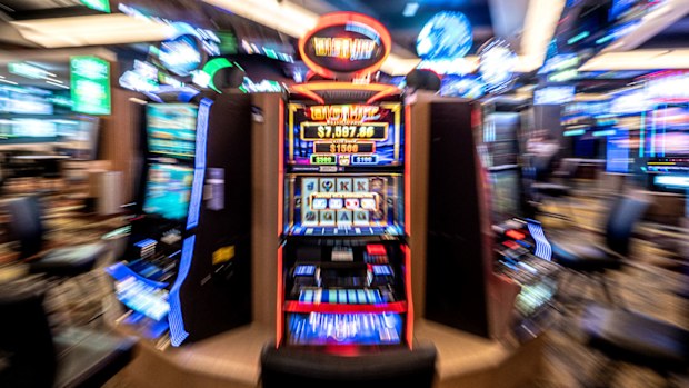 A bank of pokie machines.
