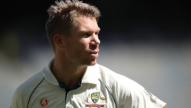 David Warner