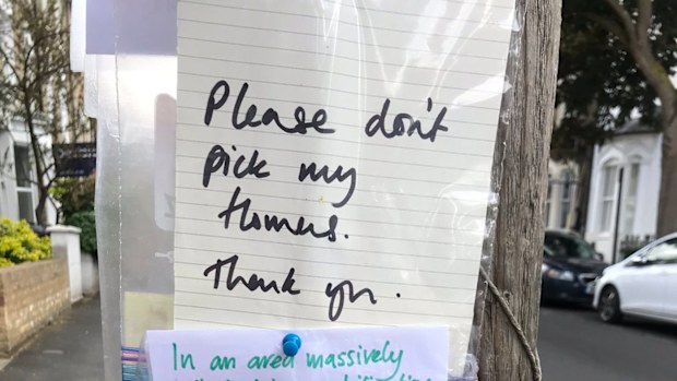 Post-it note war breaks out over community flowers