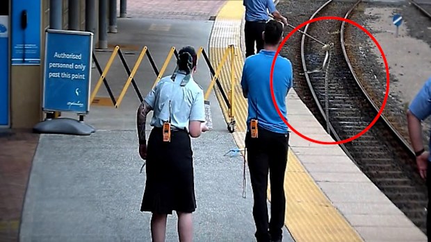 A train driver from Queensland has saved a snake from an untimely end after moving it off the train tracks on Monday. 