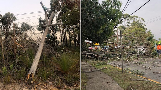 The storm felled powerlines and trees across Sydney.