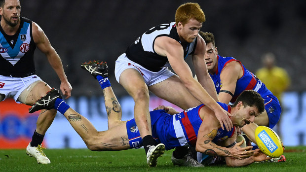 Willem Drew Tom Liberatore