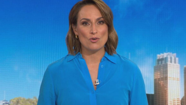 Jayne Azzopardi spider eats bug on Brisbane weather camera