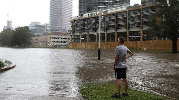 A man watches the rising Parramatta River with the Powerhouse Museum site in the distance.