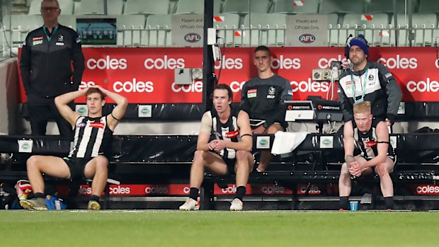Collingwood Magpies