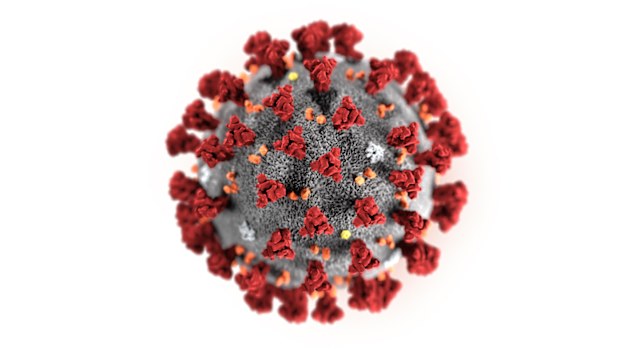 The 2019 Novel Coronavirus (2019-nCoV) has been identified as the cause of an outbreak of respiratory illness first detected in Wuhan.