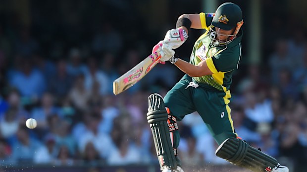 Warner in action. (AAP)