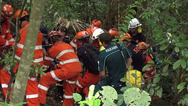 A woman has been crushed by a falling tree.