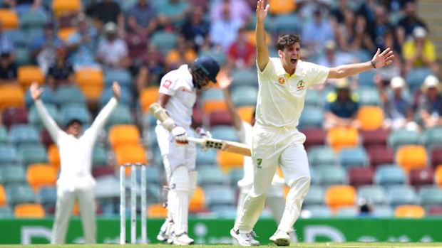 Jhye Richardson stars for Australia