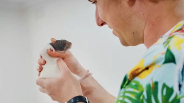 Bizarre pets Dr James Haberfield critter