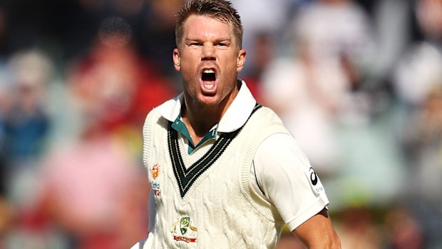 David Warner celebrates reaching 300 runs