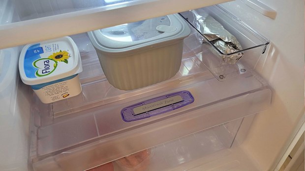 Fridge with container for meat to thaw