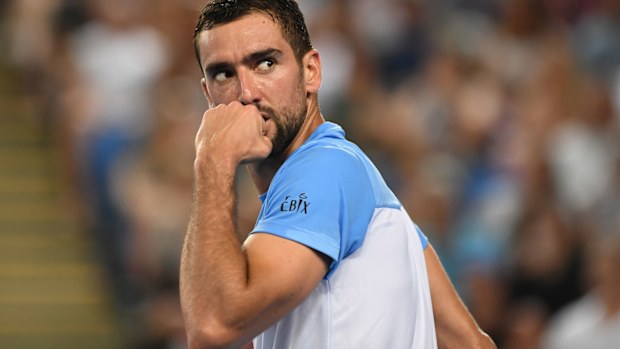 Cilic downs Tomic