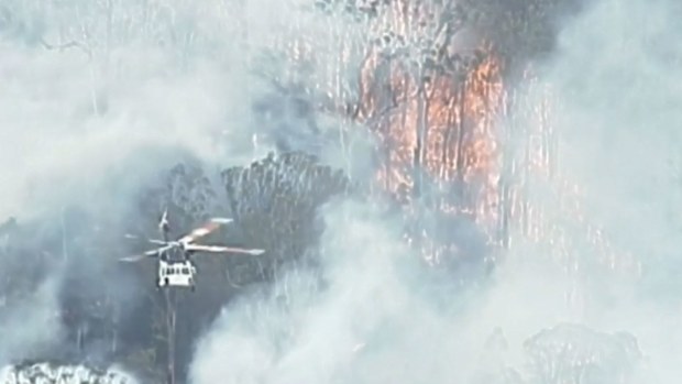 Pechey bushfire 2