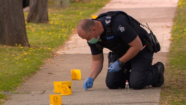 The woman was walking a dog when she was attacked.
