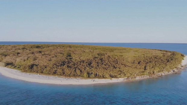 A Queensland couple were rescued by a fisherman after being stranded out at sea on paddleboards for three days.