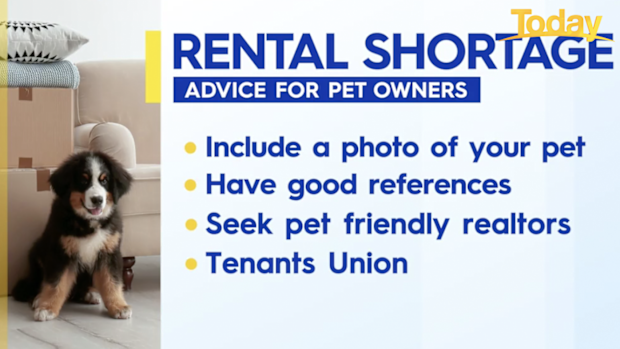 Advice for pet owners amid rental shortages.