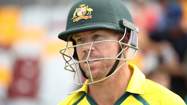 David Warner in action for Australia's ODI side