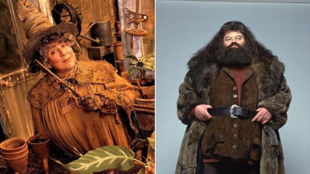 Margolyes played Professor Sprout, the Herbology teacher at Hogwarts, while Coltrane was known for playing the gentle giant, Rubeus Hagrid. 